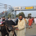 Kijk mijn net gekochte koe :)