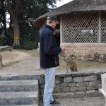Rutger geeft eten aan het aapje