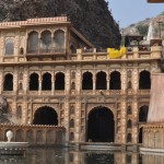 Monkey temple Jaipur