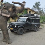 Ollie, onze huisolifant in Sapana lodge Chitwan