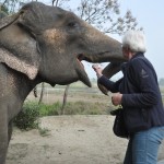 Ollie, onze huisolifant in Sapana lodge Chitwan