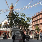 Stoepa Kathmandu