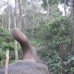 Op de olifant